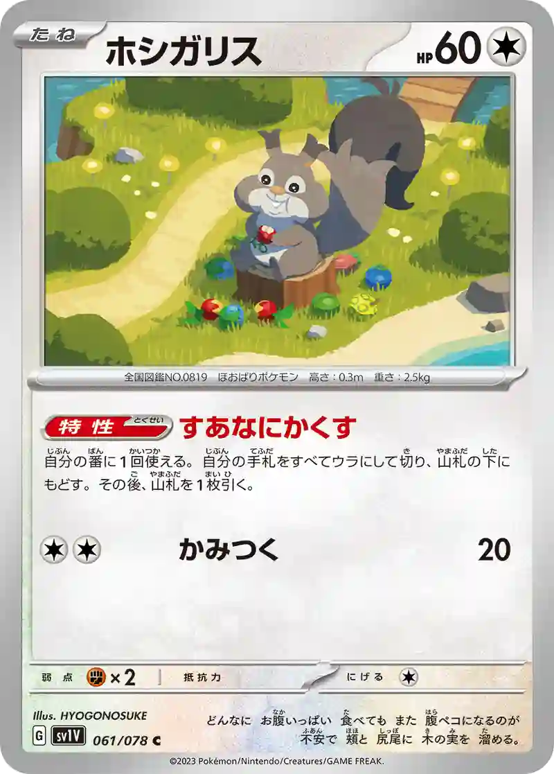 ホシガリス C