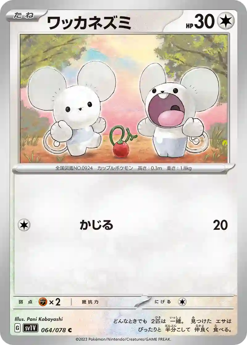ワッカネズミ C