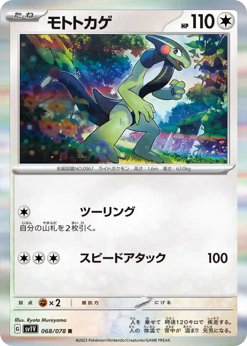 モトトカゲ R