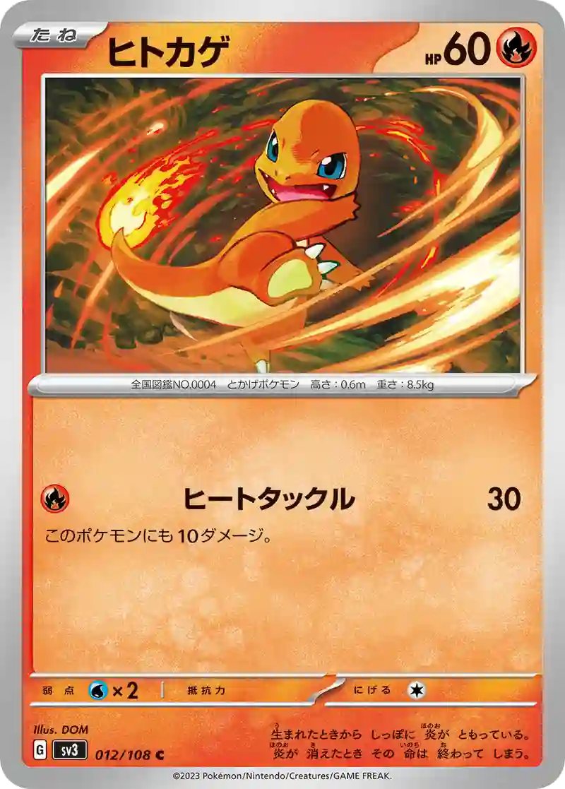 ヒトカゲ C