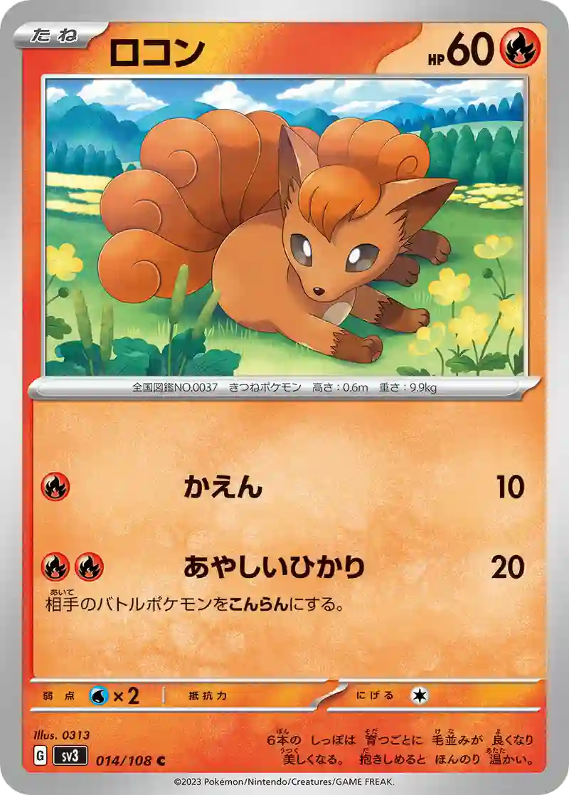 ロコン C