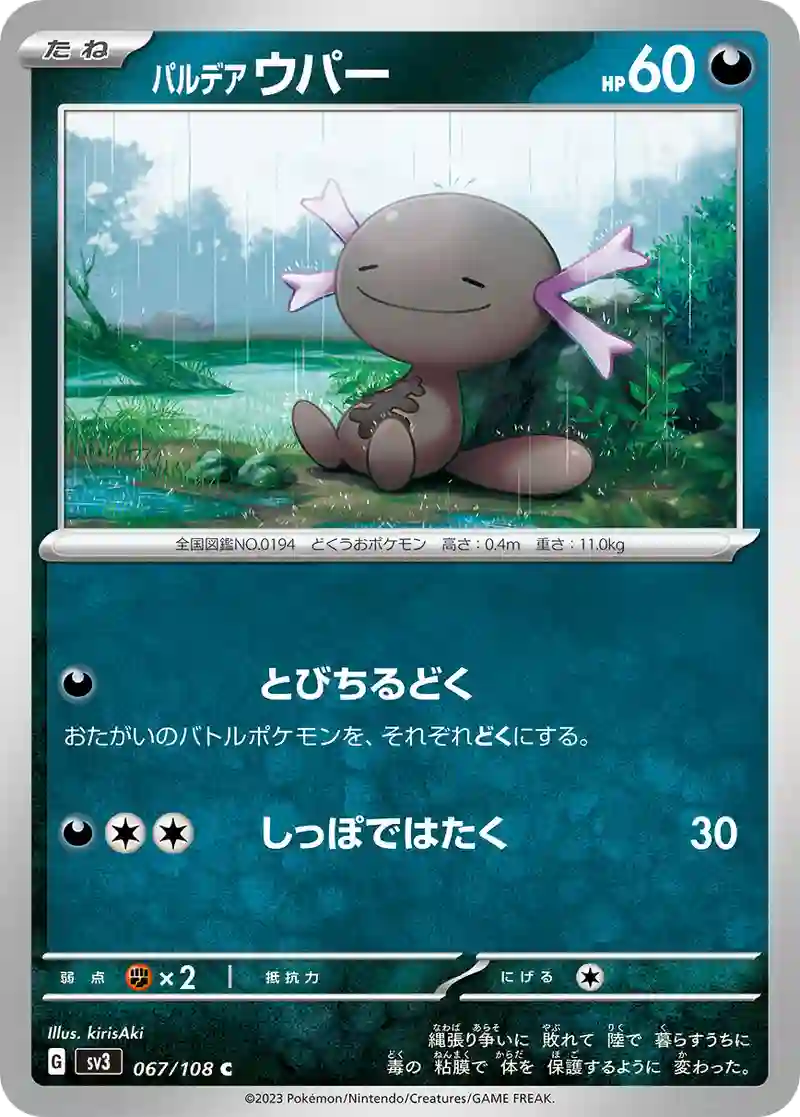 パルデア ウパー C