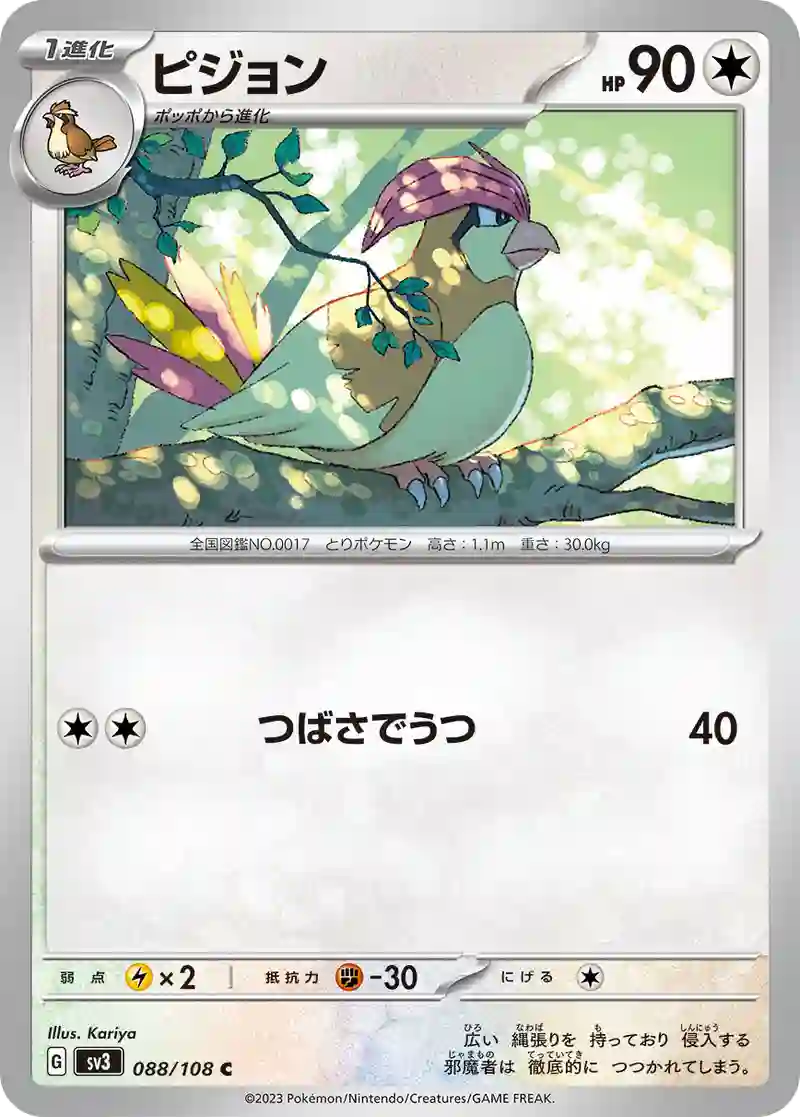 ピジョン C