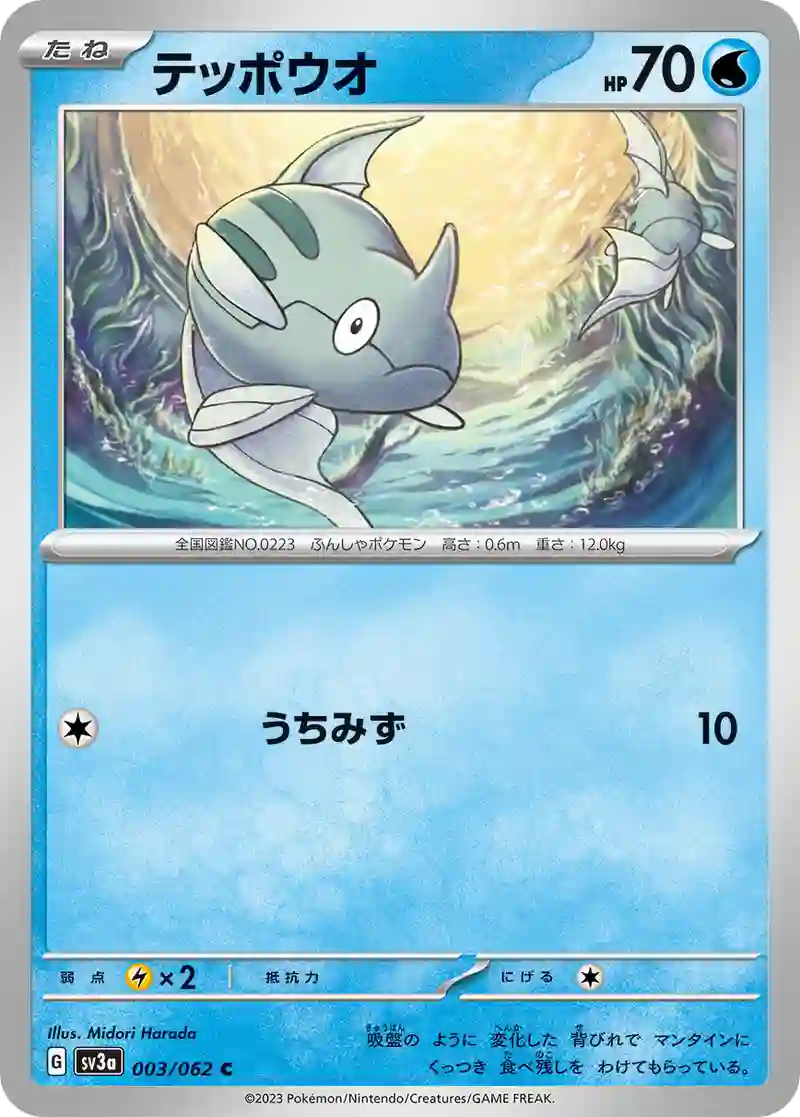 テッポウオ C