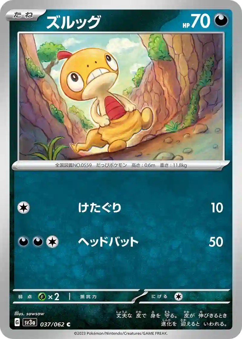 ズルッグ C