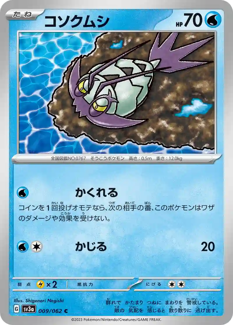 コソクムシ C