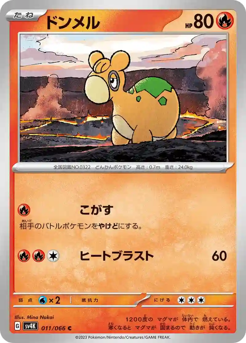 ドンメル C