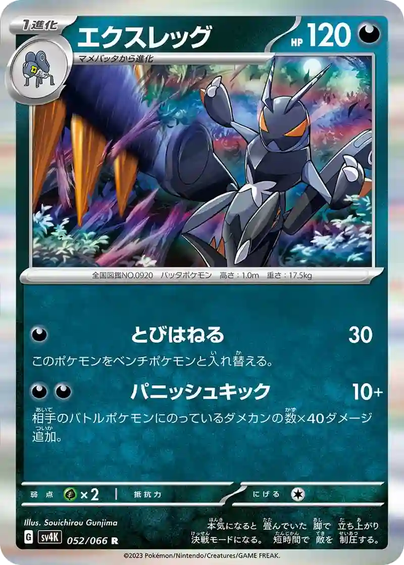 エクスレッグ R