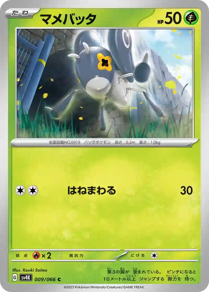 マメバッタ C