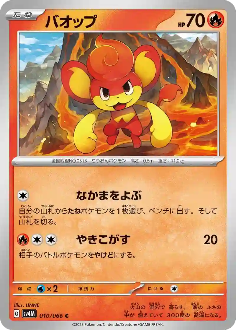 バオップ C