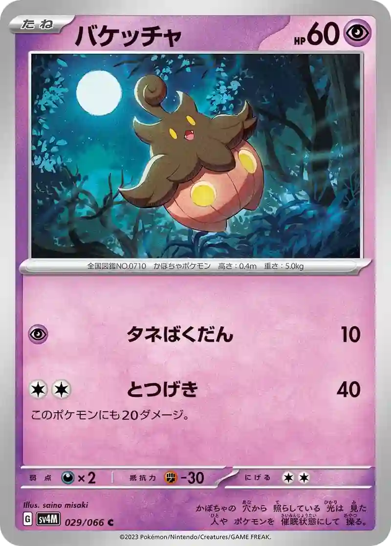 バケッチャ C