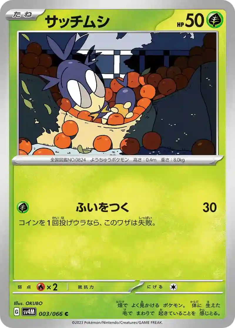 サッチムシ C