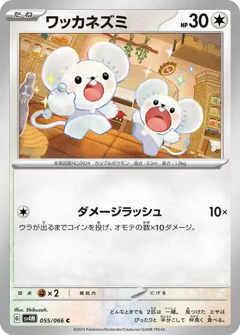 ワッカネズミ C