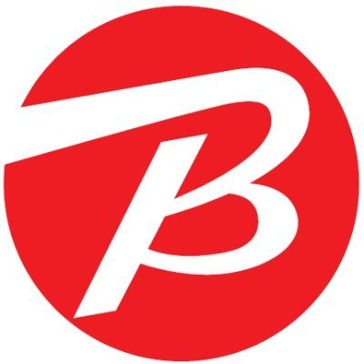 ビックカメラのロゴ